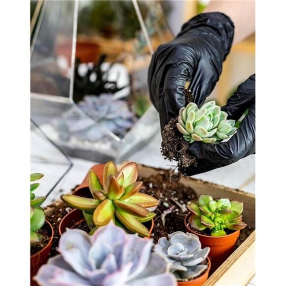 Melphoe 25Pcs Mini Garden Hand Transplanting Succulent Tools Set, 39.4"Thickened - Picture 3 of 8